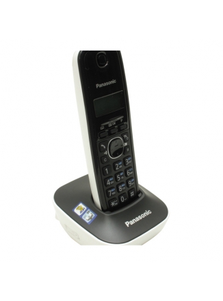 Panasonic  KX-TG1611 (TG1611RUW)  