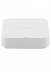  -  - Xiaomi   () Yeelight Gateway (Mesh) (YLWG01YL)